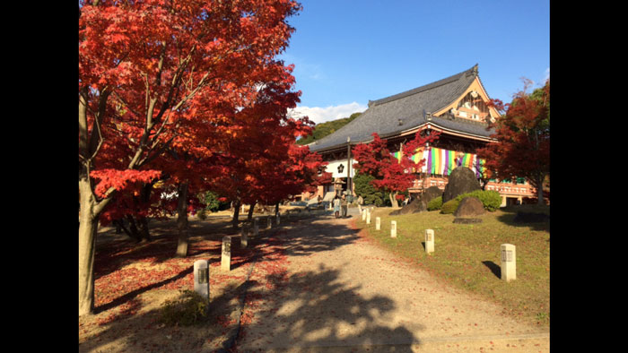 京都